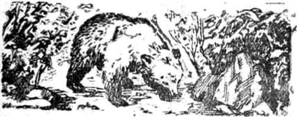Алтайские робинзоны i_004.jpg