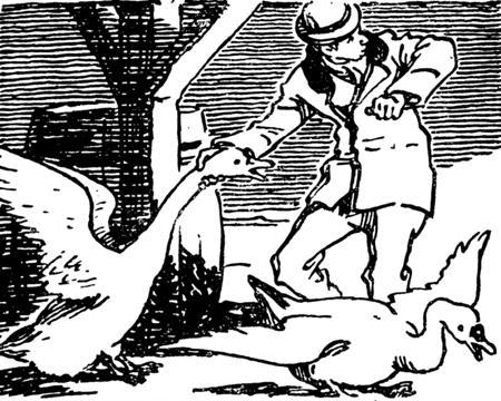 Записки о Шерлоке Холмсе (илл. Н. Цейтлина) imgC843.jpg