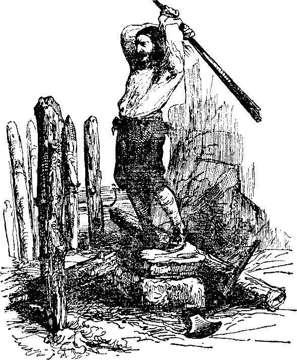 Приключения Робинзона Крузо i_015.png