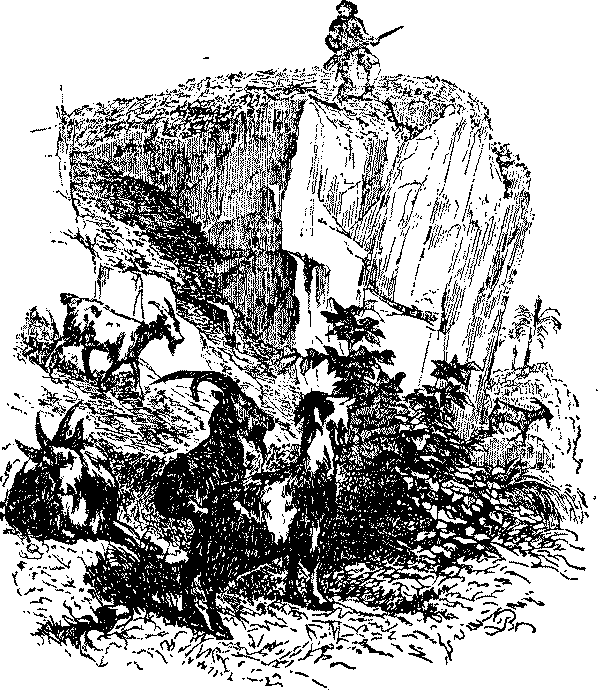Приключения Робинзона Крузо i_016.png