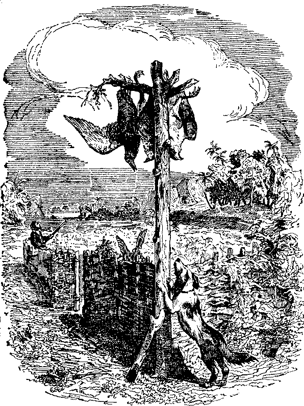 Приключения Робинзона Крузо i_028.png