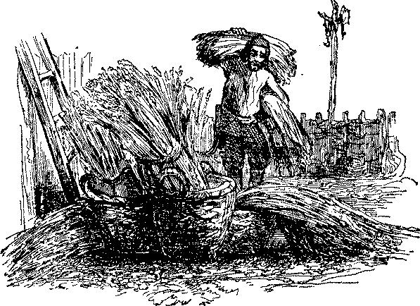 Приключения Робинзона Крузо i_031.png
