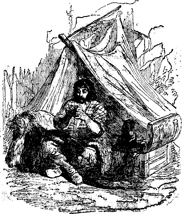 Приключения Робинзона Крузо i_033.png