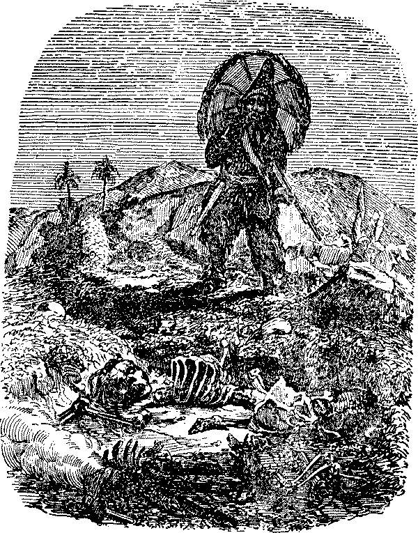 Приключения Робинзона Крузо i_042.png