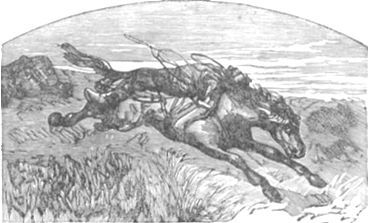 Похитители бриллиантов i_004.jpg