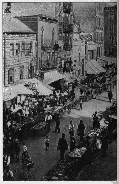 Золотая страна. Нью-Йорк, 1903. Дневник американской девочки Зиппоры Фельдман i_007.png