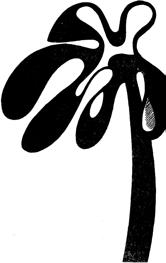 Черные звезды i_006.png