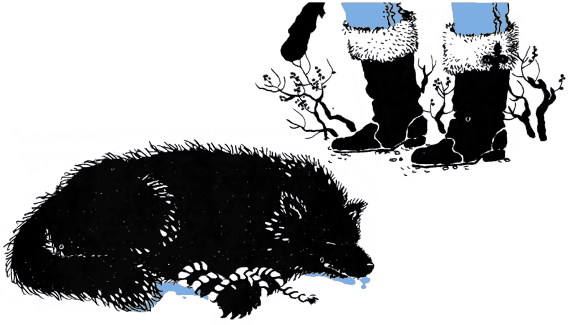По волчьему следу i_021.png