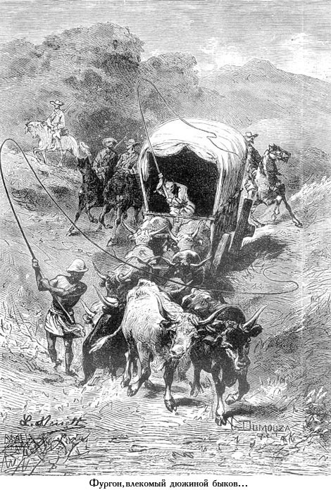 Южная звезда (с илл.) _037.jpg