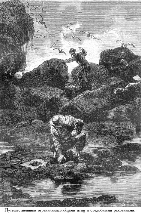 Школа робинзонов (с илл.) _021.jpg