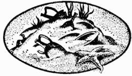 В поисках Атлантиды i_022.png