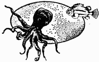 В поисках Атлантиды i_024.png