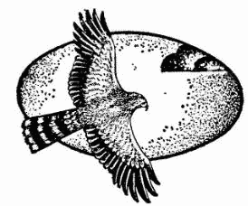 В поисках Атлантиды i_040.png
