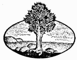 В поисках Атлантиды i_008.png