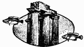 В поисках Атлантиды i_013.png