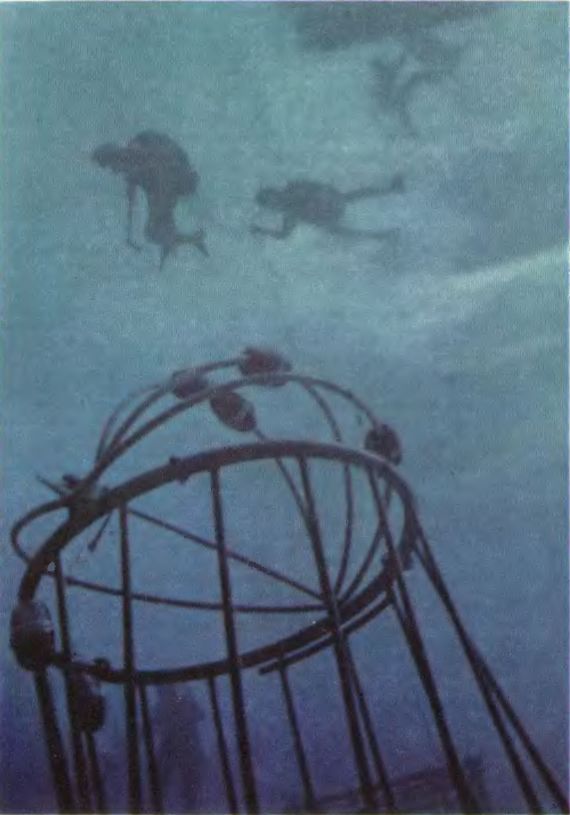 Чтобы не было в море тайн p0048sel.jpg