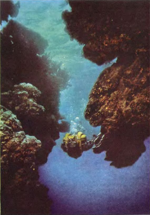 Чтобы не было в море тайн p0062sel.jpg