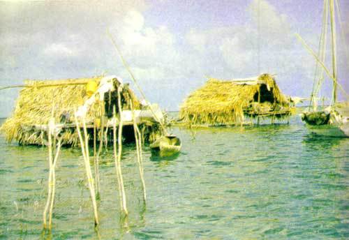 Сюрпризы моря i_088.jpg