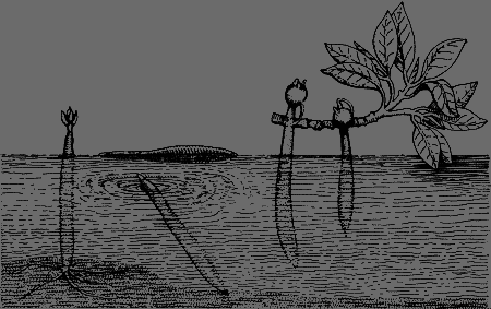 Сюрпризы моря i_153.png