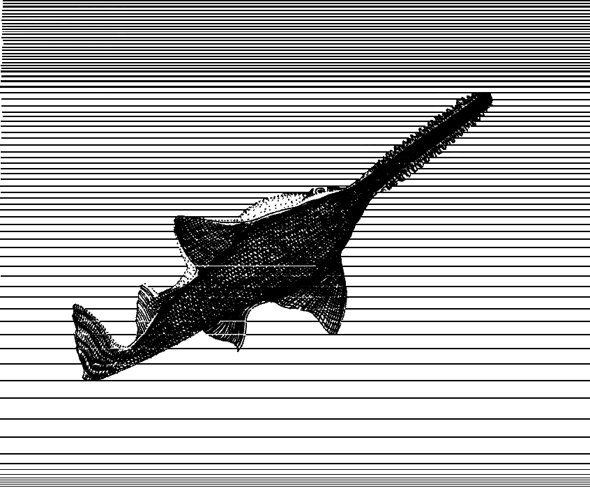 Сюрпризы моря i_157.png