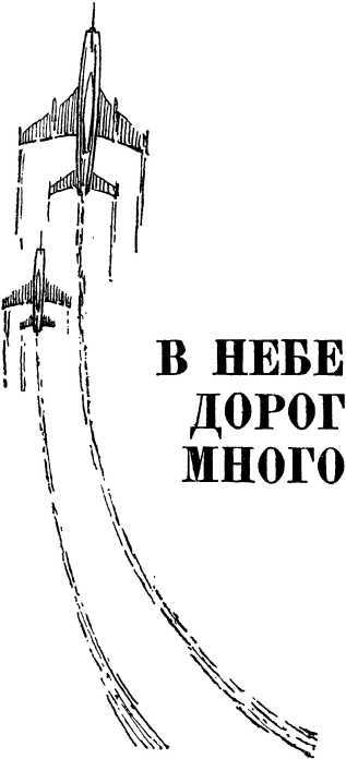Птицы летают без компаса. В небе дорог много i_006.jpg