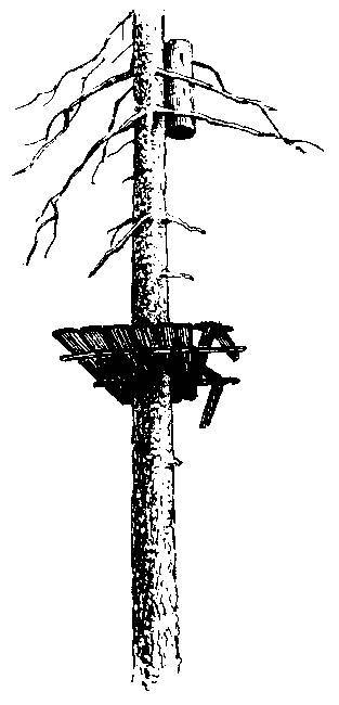 Формозов А.Н. Шесть дней в лесах _46.jpg
