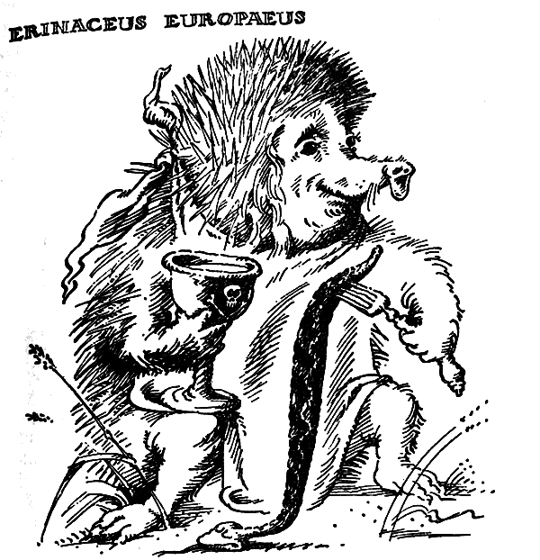 Зверинец у крыльца img_4.png