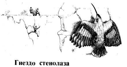Люди, звери и зоологи (Записки на полях дневника) _39.jpg