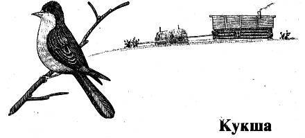 Люди, звери и зоологи (Записки на полях дневника) _10.jpg