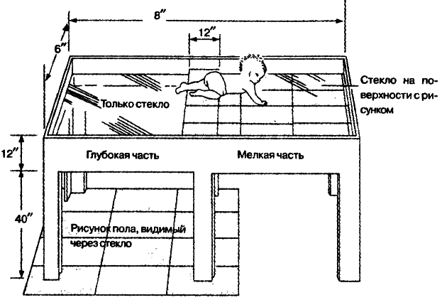40 исследований, которые потрясли психологию i_006.png