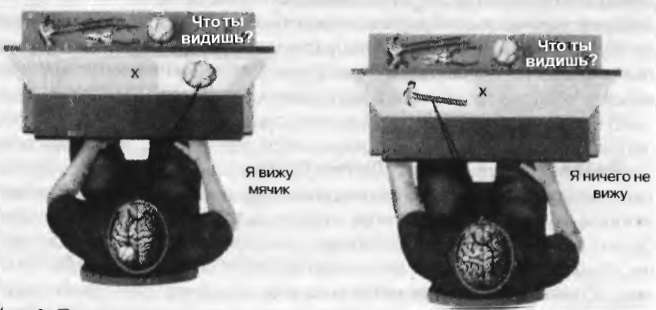 40 исследований, которые потрясли психологию i_001.jpg