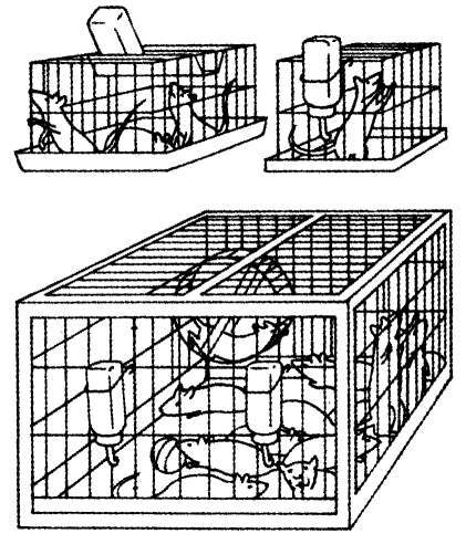 40 исследований, которые потрясли психологию i_003.jpg