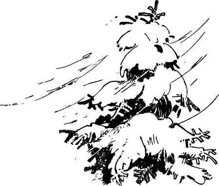 Лесные сторожа (сборник) i_012.jpg
