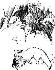 Лесные сторожа (сборник) i_014.jpg
