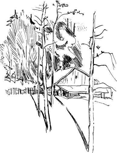 Лесные сторожа (сборник) i_016.jpg