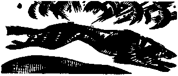 Девичья команда. Невыдуманные рассказы i_007.png