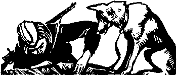 Девичья команда. Невыдуманные рассказы i_010.png
