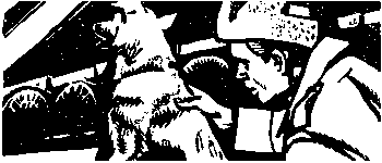Девичья команда. Невыдуманные рассказы i_012.png
