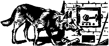 Девичья команда. Невыдуманные рассказы i_014.png