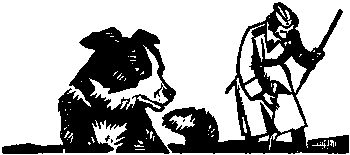 Девичья команда. Невыдуманные рассказы i_015.png