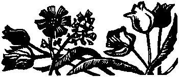 Девичья команда. Невыдуманные рассказы i_023.png