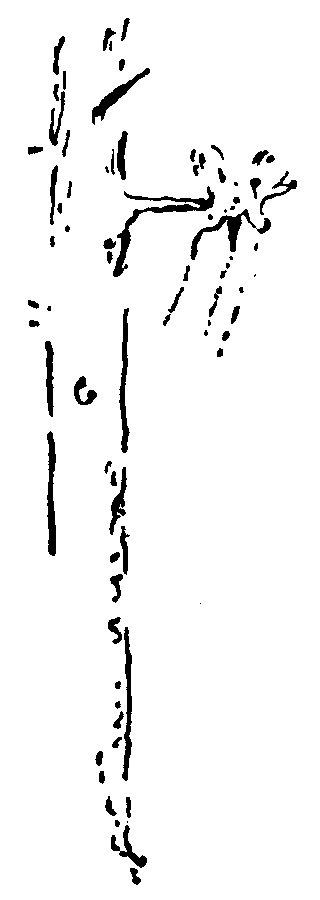 Рольф в лесах pic049.png