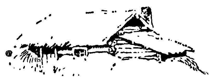 Рольф в лесах pic058.png