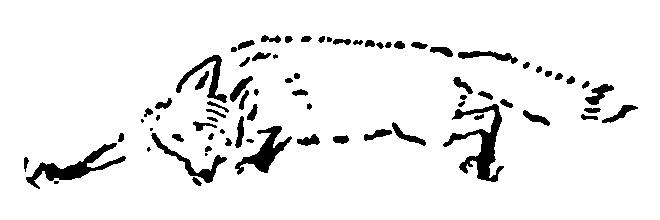 Рольф в лесах pic063.png