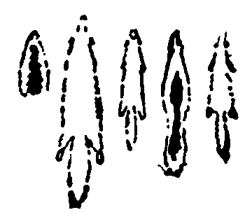 Рольф в лесах pic064.png