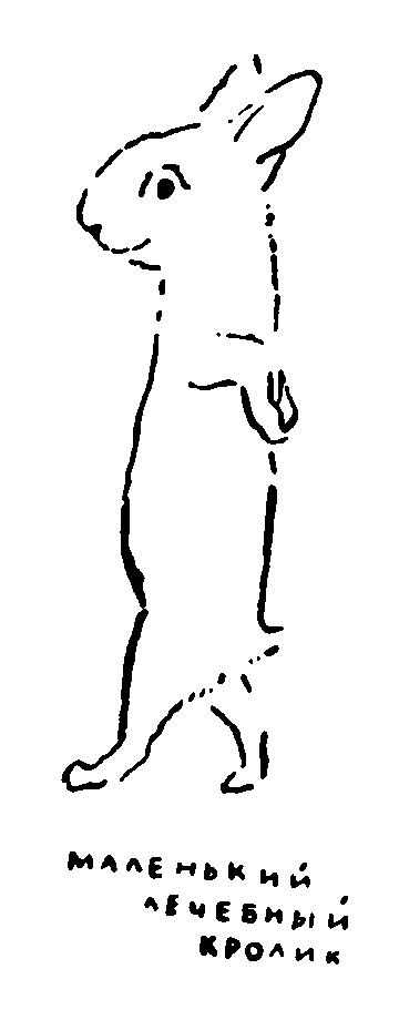 Рольф в лесах pic076.png