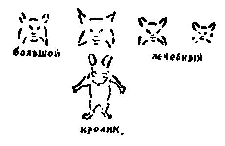 Рольф в лесах pic077.png