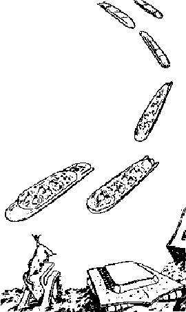 Каллисто. Дилогия k48.png
