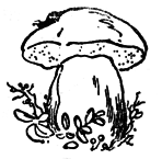Два билета на электричку. Рассказы img_13.png