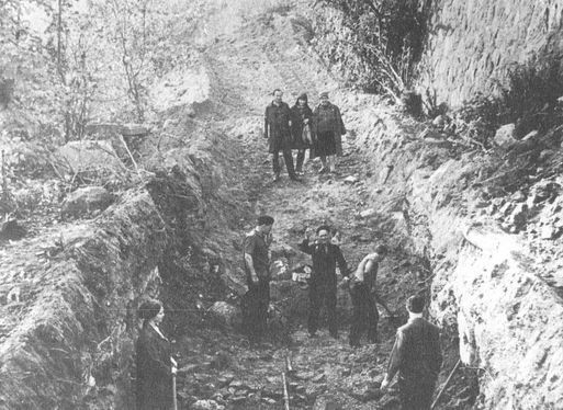 Секретные объекты «Вервольфа» i_025.jpg